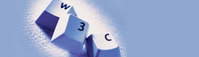 W3C Nedir?